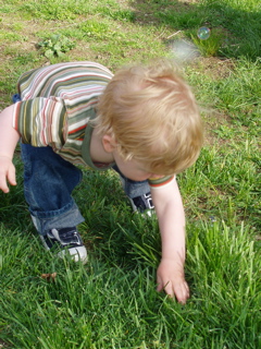 P1010073.JPG