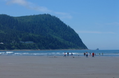 DSCF0013.JPG