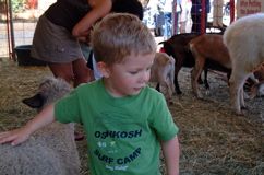 DSCF0072.JPG
