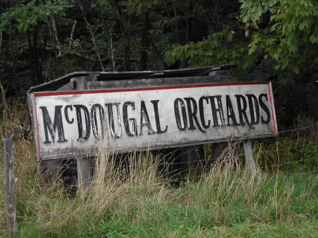 What a great font!