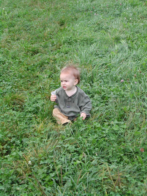 The grass was a little too high for his short legs, so he'd take about 5 steps and then quit and take a little break.