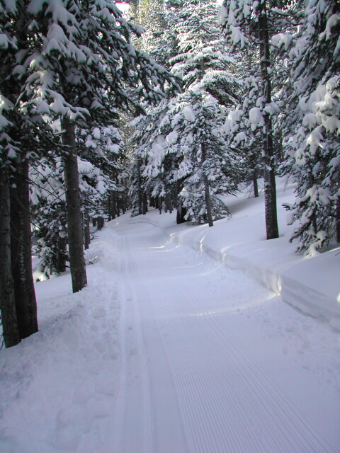 This path was the mountain biking equivalent of single track.  No one around, no roads in sight.