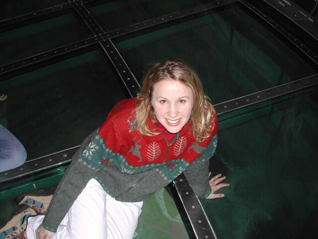 Apparently, it's ok to jump on this glass... I wouldn't dare.